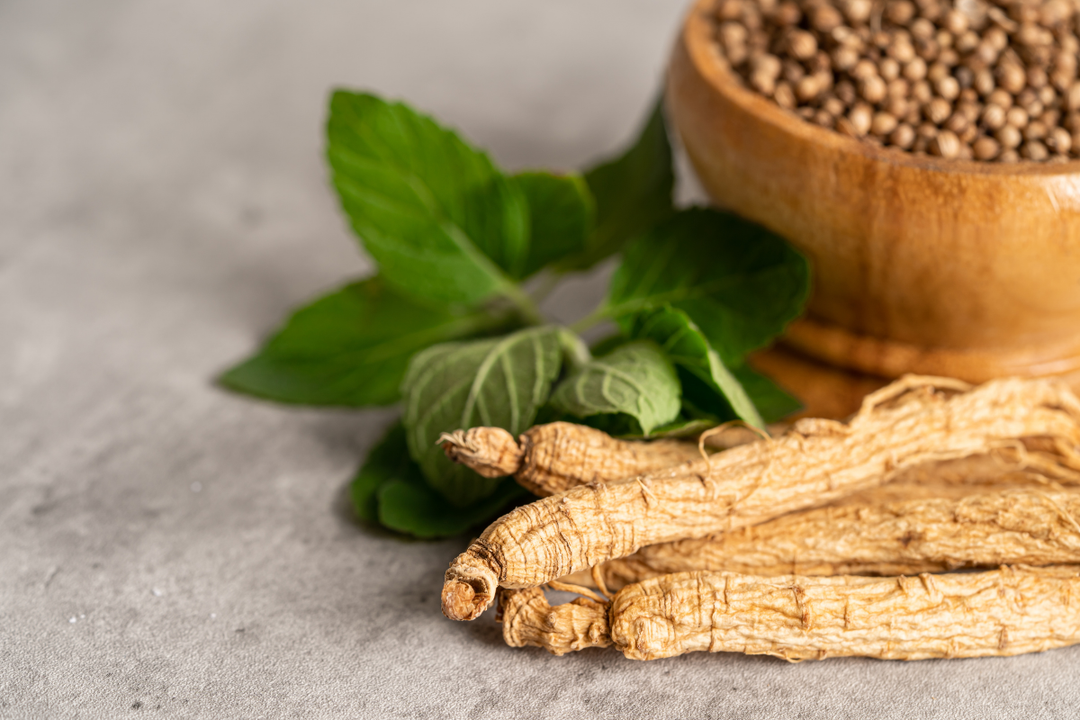 The Powerhouse Duo: Ginseng and Ginkgo Extracts in Modern Dermocosmetics